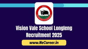 Vision Vale School Longleng Recruitment